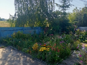 IMG-20230822-WA0044